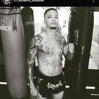 Tubarão Santos