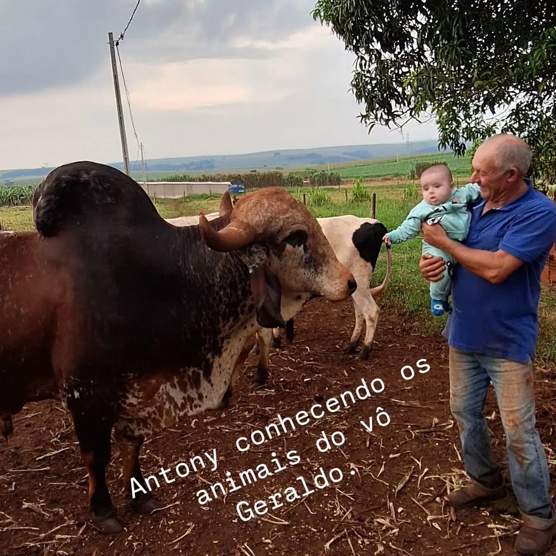 Galeria