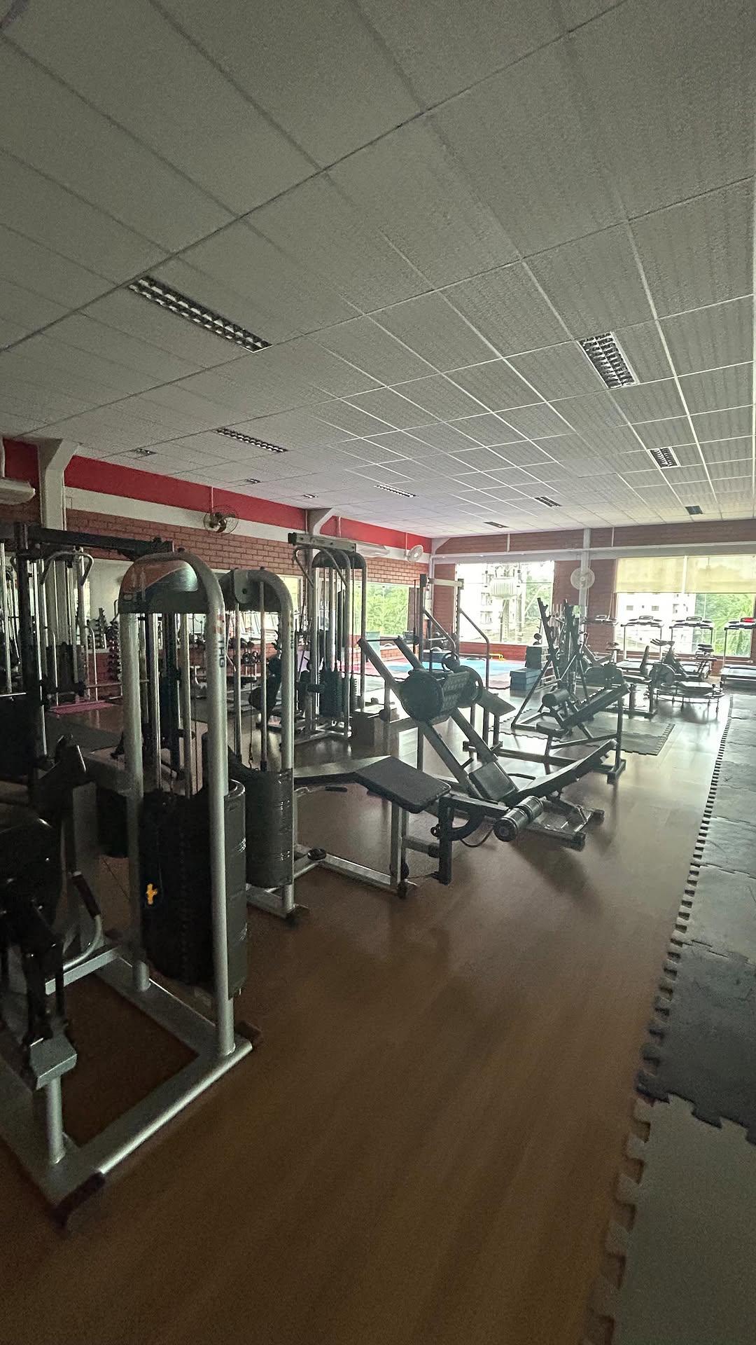 Galeria