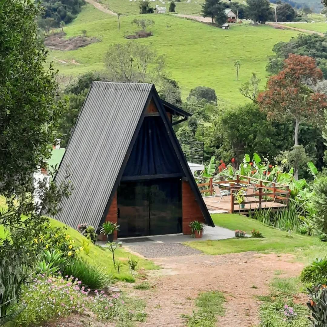 Galeria