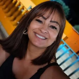 Capa de Viviane Barbiero
