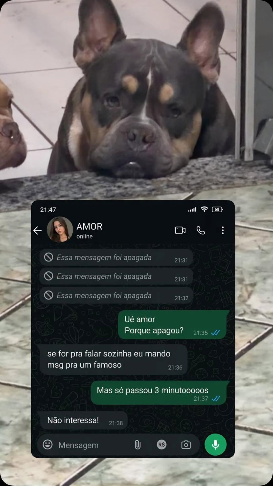 Galeria