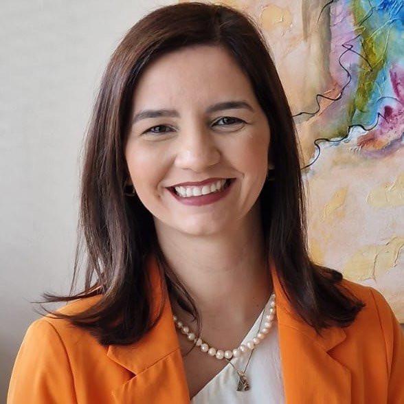 Capa de Vanessa V Lourenço Costa